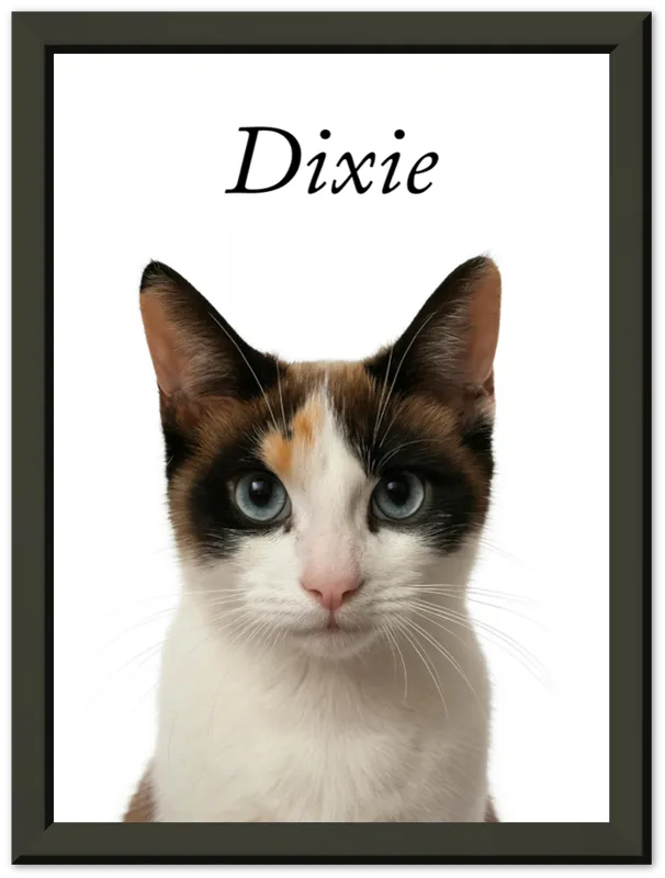 Personalised Pet Portraits