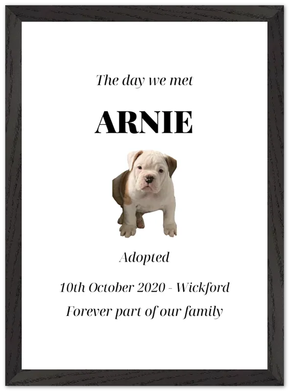 Personalised "The Day We Met" Pet Adoption Print
