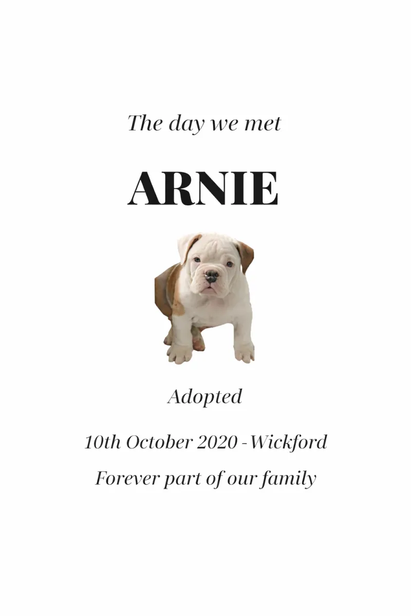 Personalised "The Day We Met" Pet Adoption Print - view 3
