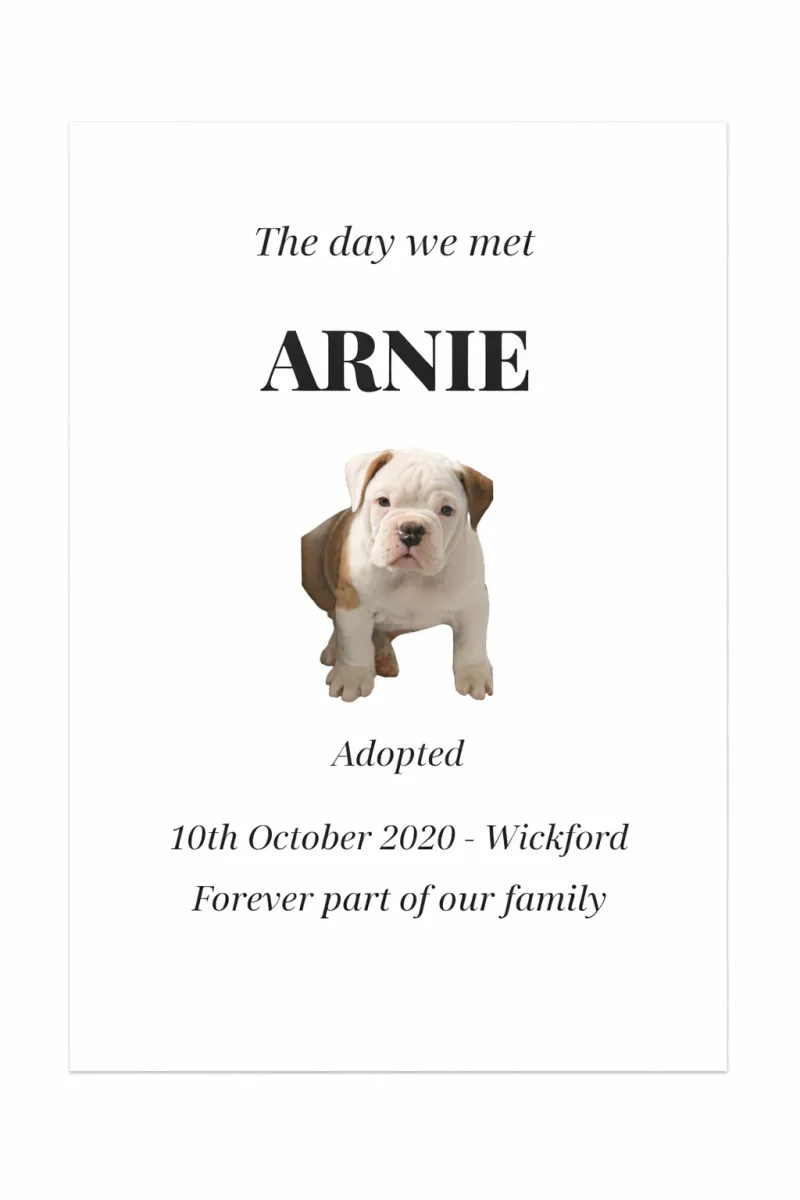 Personalised "The Day We Met" Pet Adoption Print - view 4